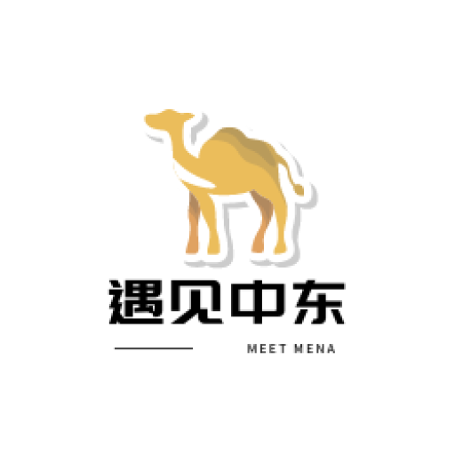 遇见中东